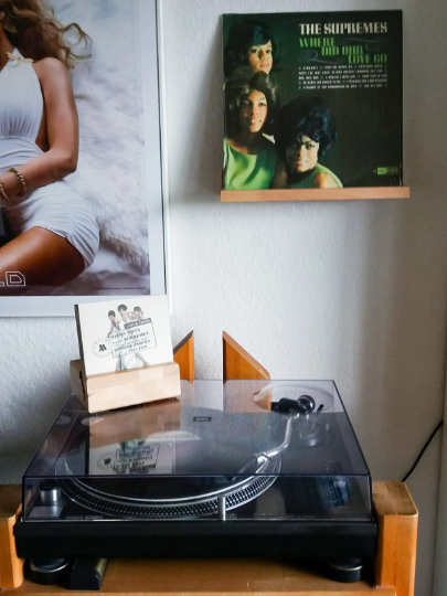 Multitalent CD-Regal, CD-Ständer für bis zu 4 verschiedene CD-Größen phonotastisch
