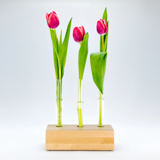 Stylischer Bilderhalter, Bilderrahmen, Blumenvase mit 3 herausnehmbaren Reagenzglasvasen. phonotastisch