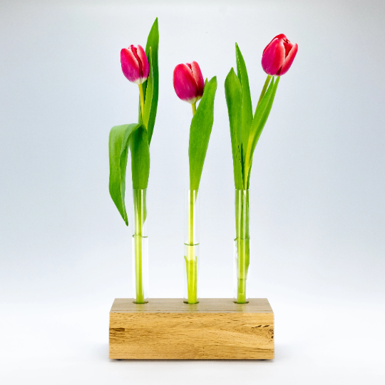Stylischer Bilderhalter, Bilderrahmen, Blumenvase mit 3 herausnehmbaren Reagenzglasvasen. phonotastisch