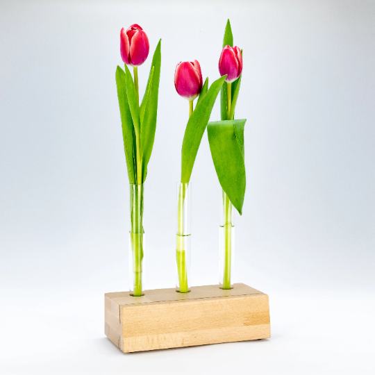 Stylischer Bilderhalter, Bilderrahmen, Blumenvase mit 3 herausnehmbaren Reagenzglasvasen. phonotastisch