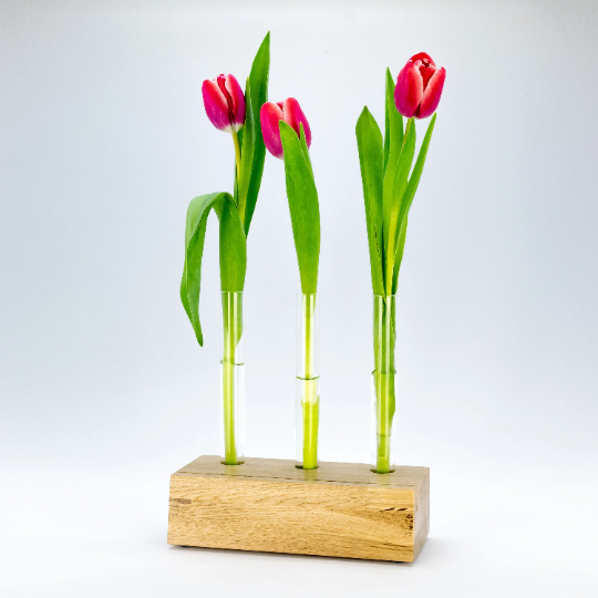 Stylischer Bilderhalter, Bilderrahmen, Blumenvase mit 3 herausnehmbaren Reagenzglasvasen. phonotastisch