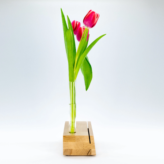 Stylischer Bilderhalter, Bilderrahmen, Blumenvase mit 3 herausnehmbaren Reagenzglasvasen. phonotastisch