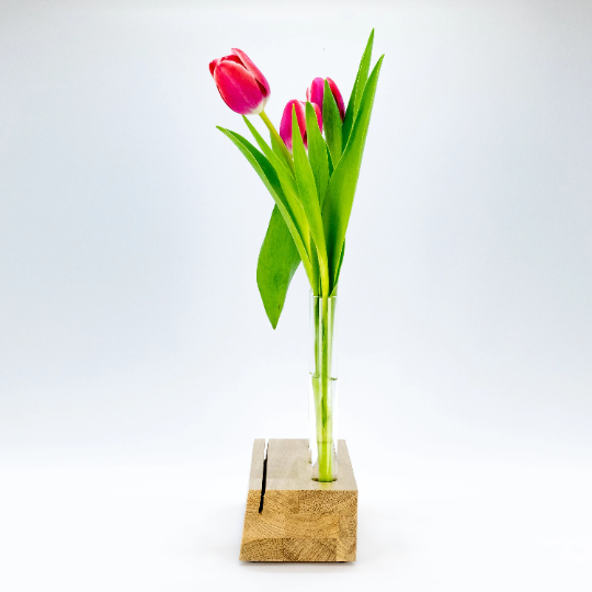 Stylischer Bilderhalter, Bilderrahmen, Blumenvase mit 3 herausnehmbaren Reagenzglasvasen. phonotastisch