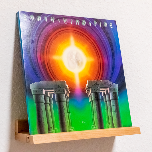 Vinylhalter, Schallplattenständer, Wandregal für dein Vinylalbum phonotastisch