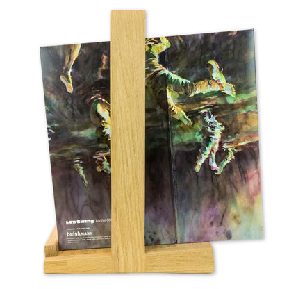 Schallplattenregal FRAME für bis zu 100 Vinyl aus Massivholz Eiche. phonotastisch