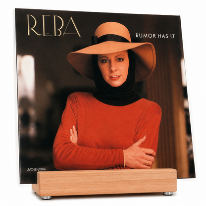 Schallplattenständer SLIM aus Holz und Edelstahl | Vinylhalter für LPs | Edler Vinylständer für 1 Vinyl phonotastisch