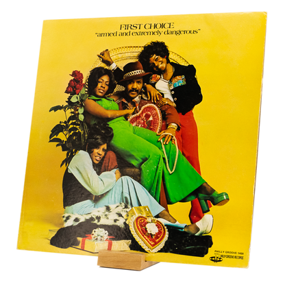 „Kompakter Vinylständer aus Massivholz für einzelne Schallplatten“ 