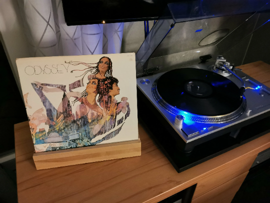  „Massivholz Vinylhalter für Schallplatten im skandinavischen Design“ 